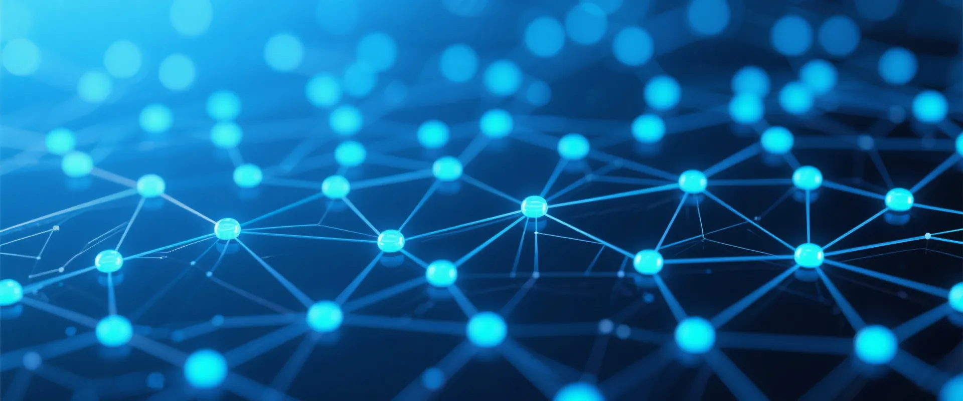 Data Network Background